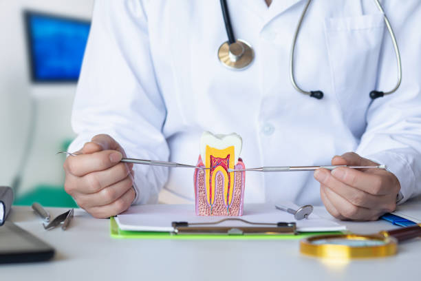Best Emergency Root Canal Treatment in Shasta Lake, CA